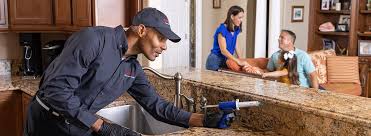 Best Emergency Pest Control  in Superior, AZ