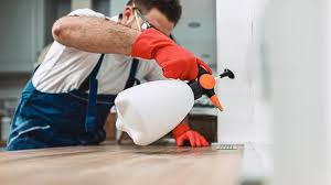 Best Pest Exclusion Services  in Superior, AZ